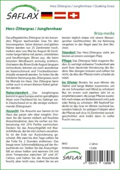 Herz-Zittergras / Jungfernhaar | Gräsersamen Von Saflax