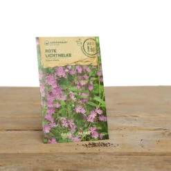 Wildblumen Set Stay Wild | BIO Wildblumensamen Von Samen Maier -Garten Traum Haus 549603 BIO Wildblumen Set Stay Wild A02 sm 1