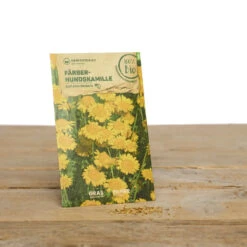 Wildblumen Set Stay Wild | BIO Wildblumensamen Von Samen Maier -Garten Traum Haus 549603 BIO Wildblumen Set Stay Wild A02 sm 2