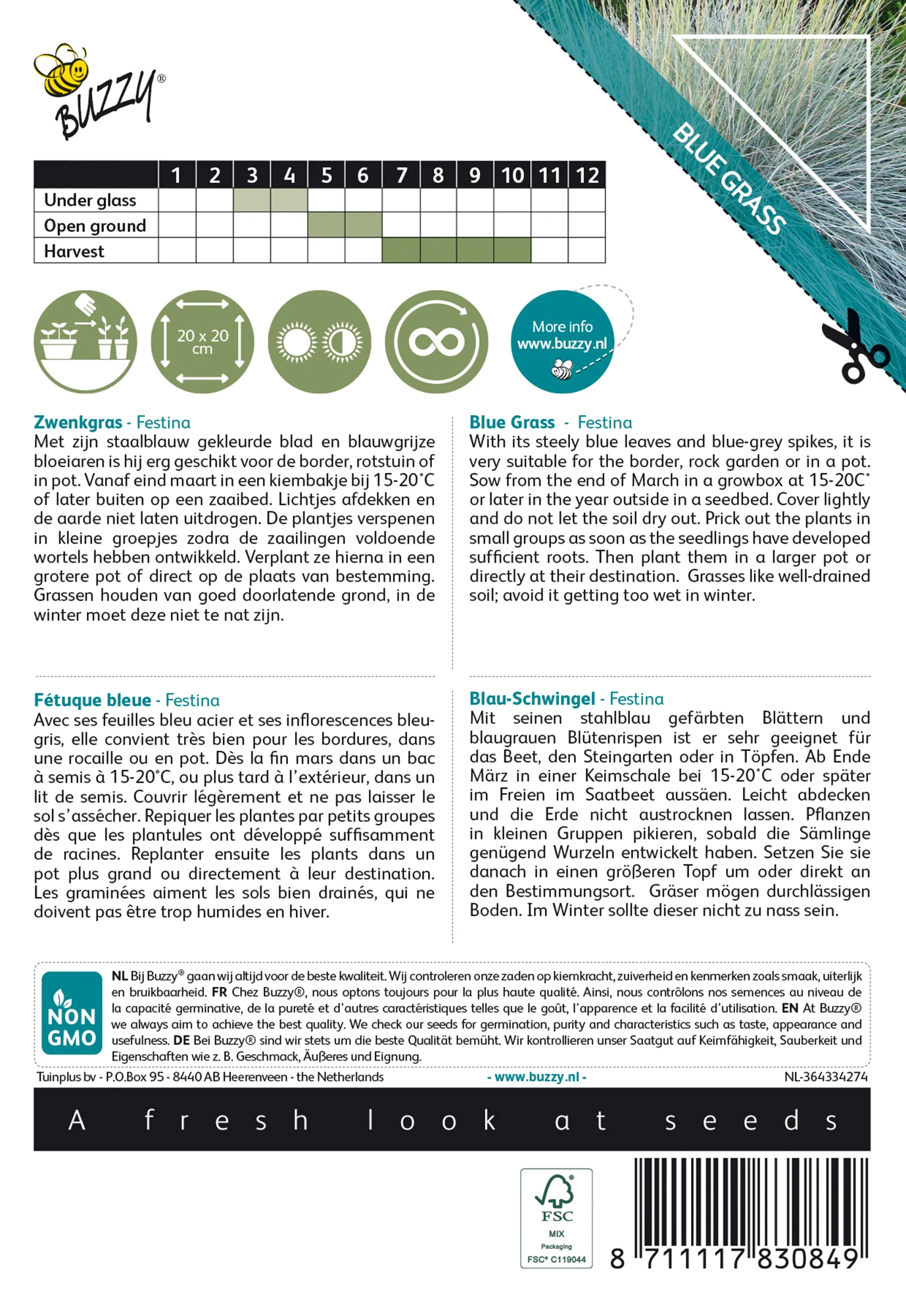 Blau-Schwingel Festina | Blauschwingelsamen Von Buzzy Seeds 1 Blau-Schwingel Festina | Blauschwingelsamen Von Buzzy Seeds