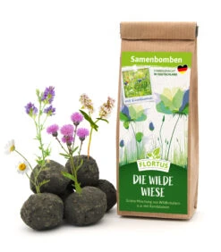 Samenbomben Die Wilde Wiese (6 Stück) | Wildblumenwiese Von FLORTUS 9 Samenbomben Die Wilde Wiese (6 Stück) | Wildblumenwiese Von FLORTUS -Garten Traum Haus 562168 Samenbomben Die wilde Wiese 6 Stueck 2000 1059 1