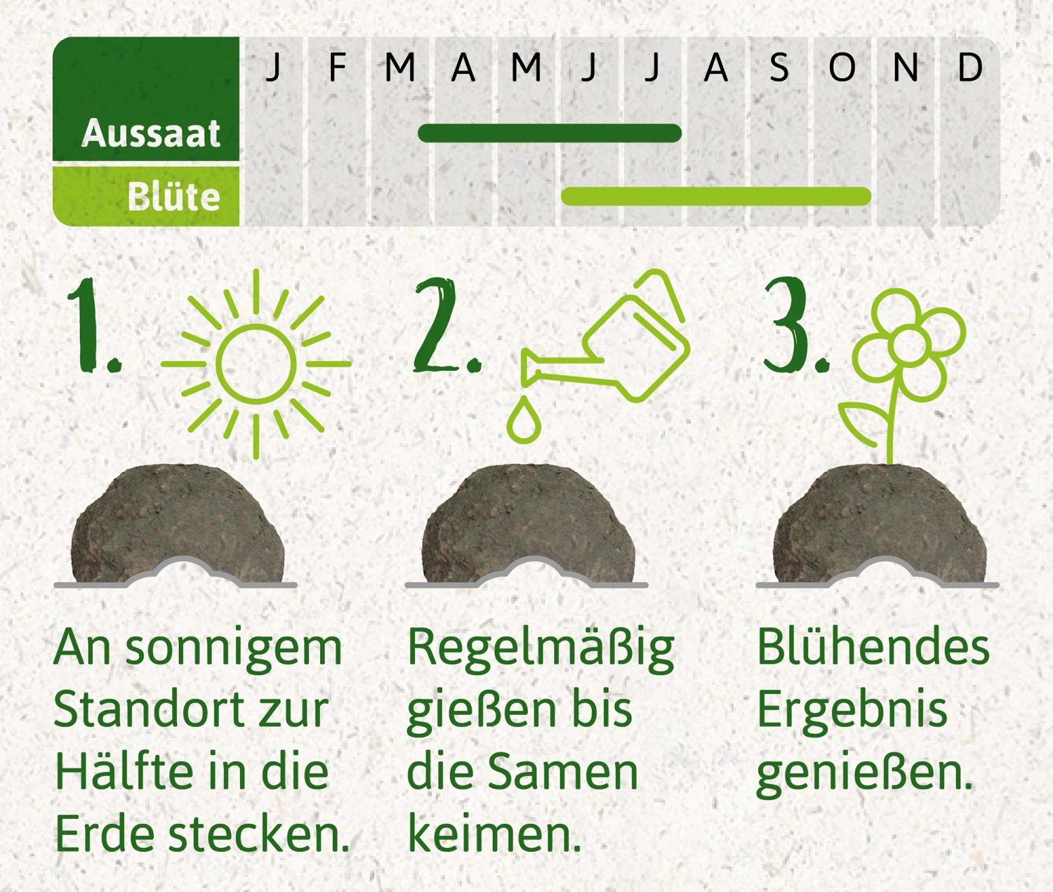 Samenbomben Die Wilde Wiese (6 Stück) | Wildblumenwiese Von FLORTUS 1 Samenbomben Die Wilde Wiese (6 Stück) | Wildblumenwiese Von FLORTUS