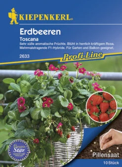 Erdbeere Toscana (Pillensaat) | Erdbeersamen Von Kiepenkerl