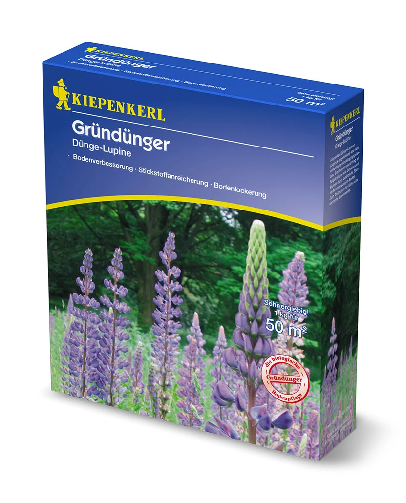 Düngelupinen (1 Kg) | Gründünger Von Kiepenkerl 1 Düngelupinen (1 Kg) | Gründünger Von Kiepenkerl