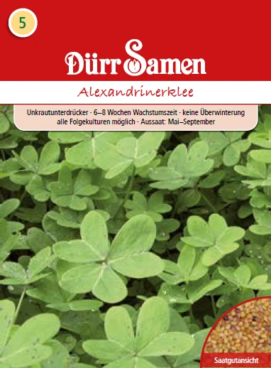 Gründünger Alexandrinerklee 500 G | Gründünger Von Dürr Samen 1 Gründünger Alexandrinerklee 500 G | Gründünger Von Dürr Samen