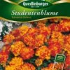 Studentenblumen Bonanza Bolero | Studentenblumensamen Von Quedlinburger