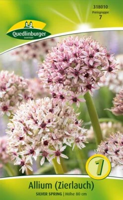 Garten Traum Haus -Garten Traum Haus 532964 Zierlauch Silverspring 1 Stueck 318010 qb 0