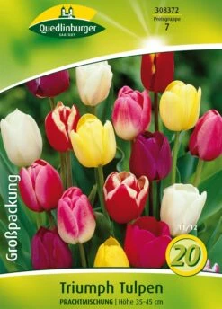Triumph Tulpe Prachtmischung (18 Stück) | Triumph-Tulpen Von Quedlinburger