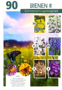 Bienen- &amp; Schmetterlingsmischung (90 Stück) | Blumenzwiebelmischungen Von Quedlinburger