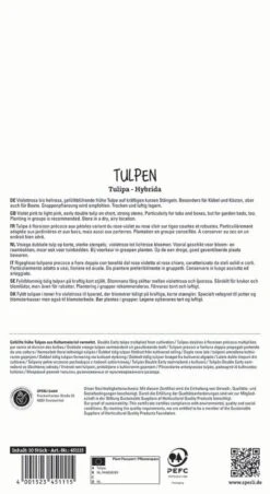 Tulpe Foxtrott (10 Stück) | Tulpenzwiebeln Von Sperli