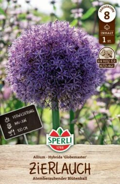 Zierlauch Globemaster (1 Stück) | Zierlauchzwiebeln Von Sperli