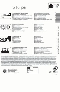 Gefüllte Frühe Tulpe Monsella (5 Stück) | Tulpenzwiebeln Von Kiepenkerl