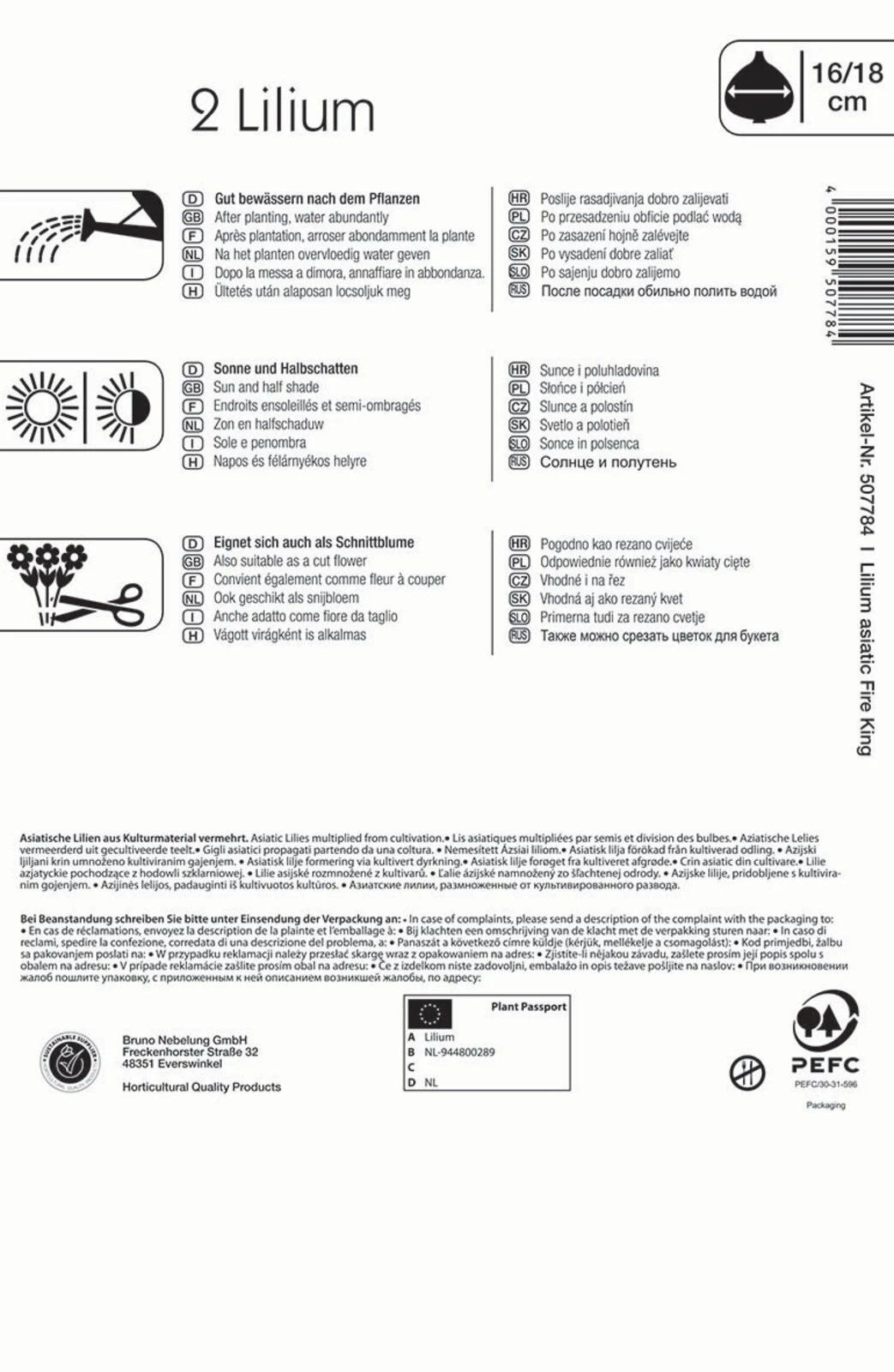 Lilie Fire King (2 Stück) | Lilienzwiebeln Von Kiepenkerl 1 Lilie Fire King (2 Stück) | Lilienzwiebeln Von Kiepenkerl