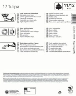 Mega-Pack Gefranste Tulpe Mischung (17 Stück) | Tulpenzwiebeln Von Kiepenkerl