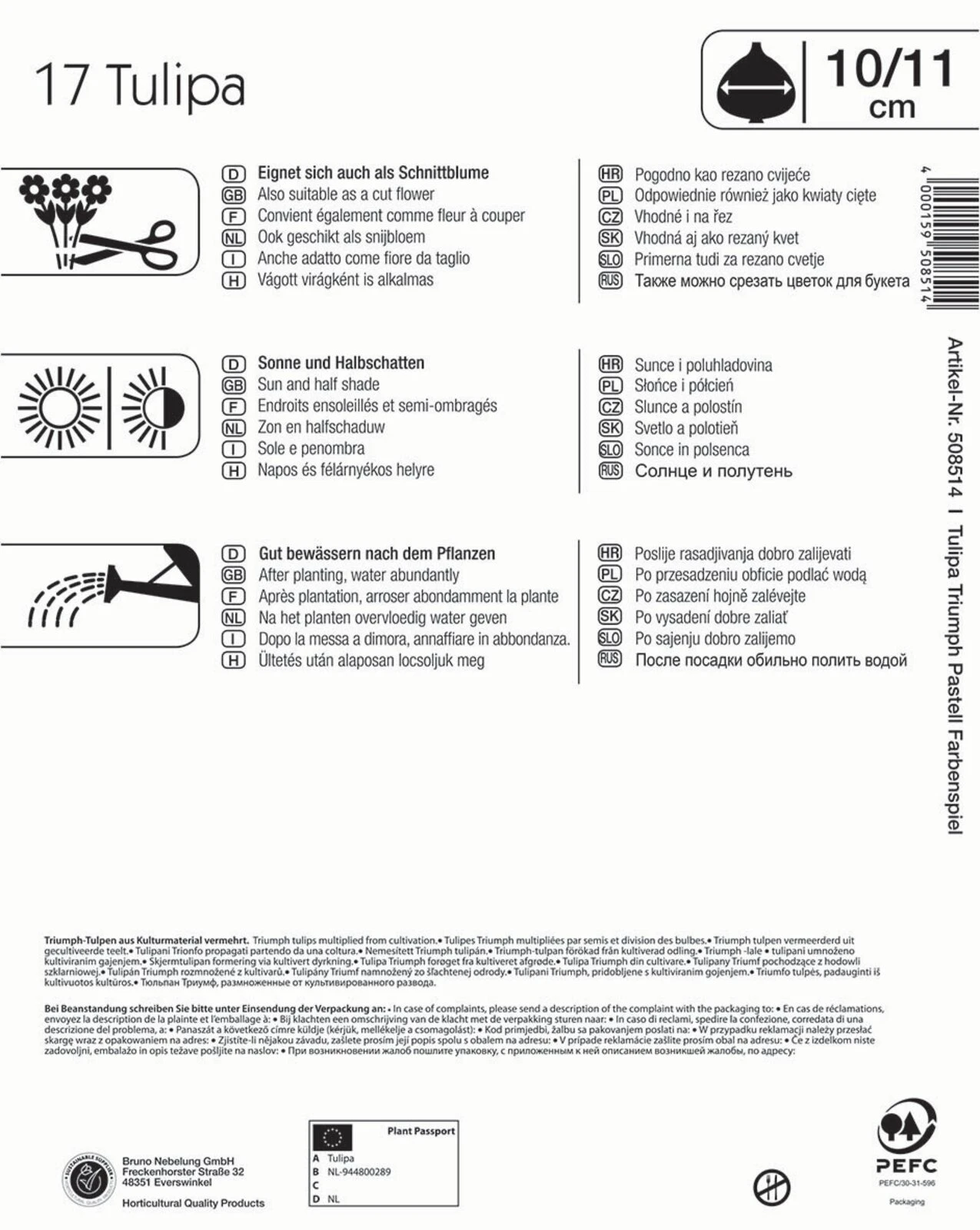 Mega-Pack Triumph-Tulpe Pastell Farbenspiel (17 Stück) | Tulpenzwiebeln Von Kiepenkerl 2 Mega-Pack Triumph-Tulpe Pastell Farbenspiel (17 Stück) | Tulpenzwiebeln Von Kiepenkerl – Bild 2