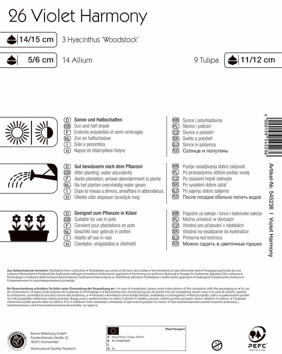 Colour Symphony Violet Harmony (26 Stück) | Blumenzwiebelmischungen Von Kiepenkerl 2 Colour Symphony Violet Harmony (26 Stück) | Blumenzwiebelmischungen Von Kiepenkerl – Bild 2