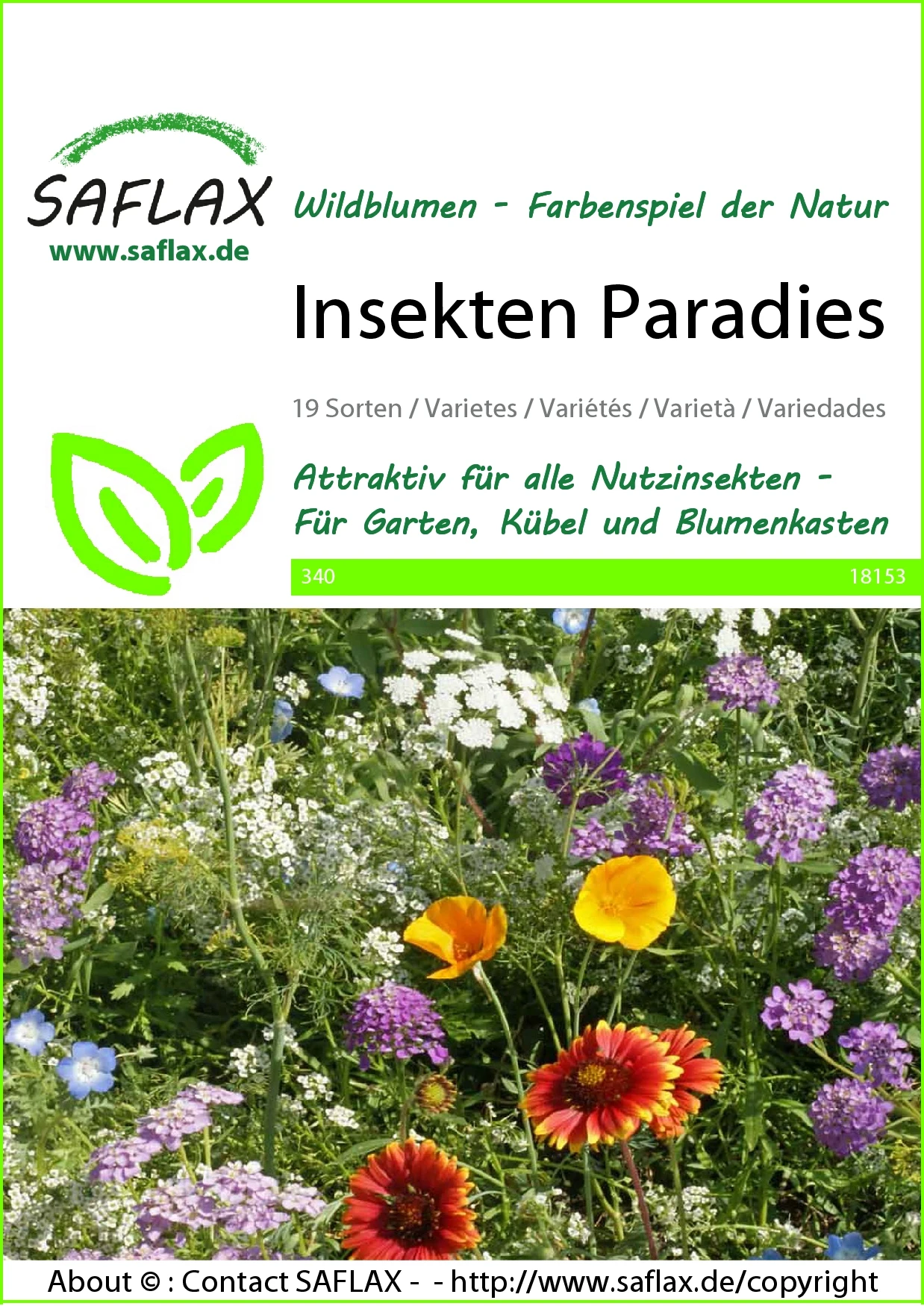 Blumenwiese Insekten Paradies | Insektenwiese Von Saflax 1 Blumenwiese Insekten Paradies | Insektenwiese Von Saflax