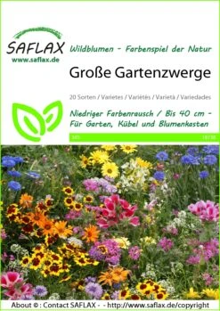Blumenwiese Große Gartenzwerge | Wildblumenwiese Von Saflax