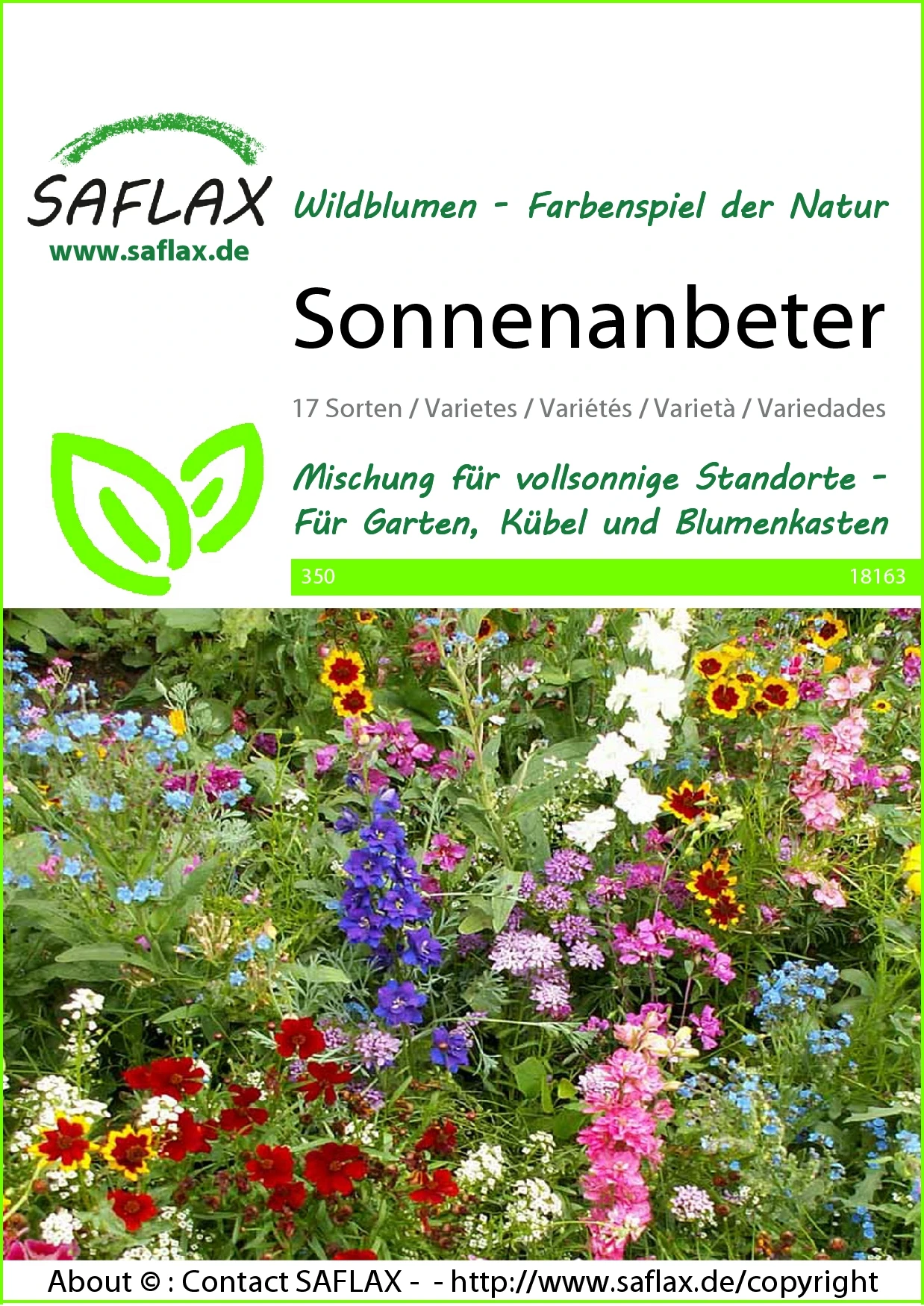 Blumenwiese Sonnenanbeter | Wildblumenwiese Von Saflax 2 Blumenwiese Sonnenanbeter | Wildblumenwiese Von Saflax – Bild 2