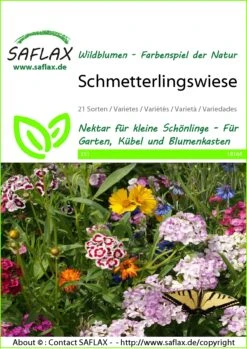 Blumenwiese Schmetterlingswiese | Schmetterlingswiese Von Saflax
