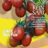 Cocktailtomate Black Plum | BIO Kirschtomatensamen Von Reinsaat