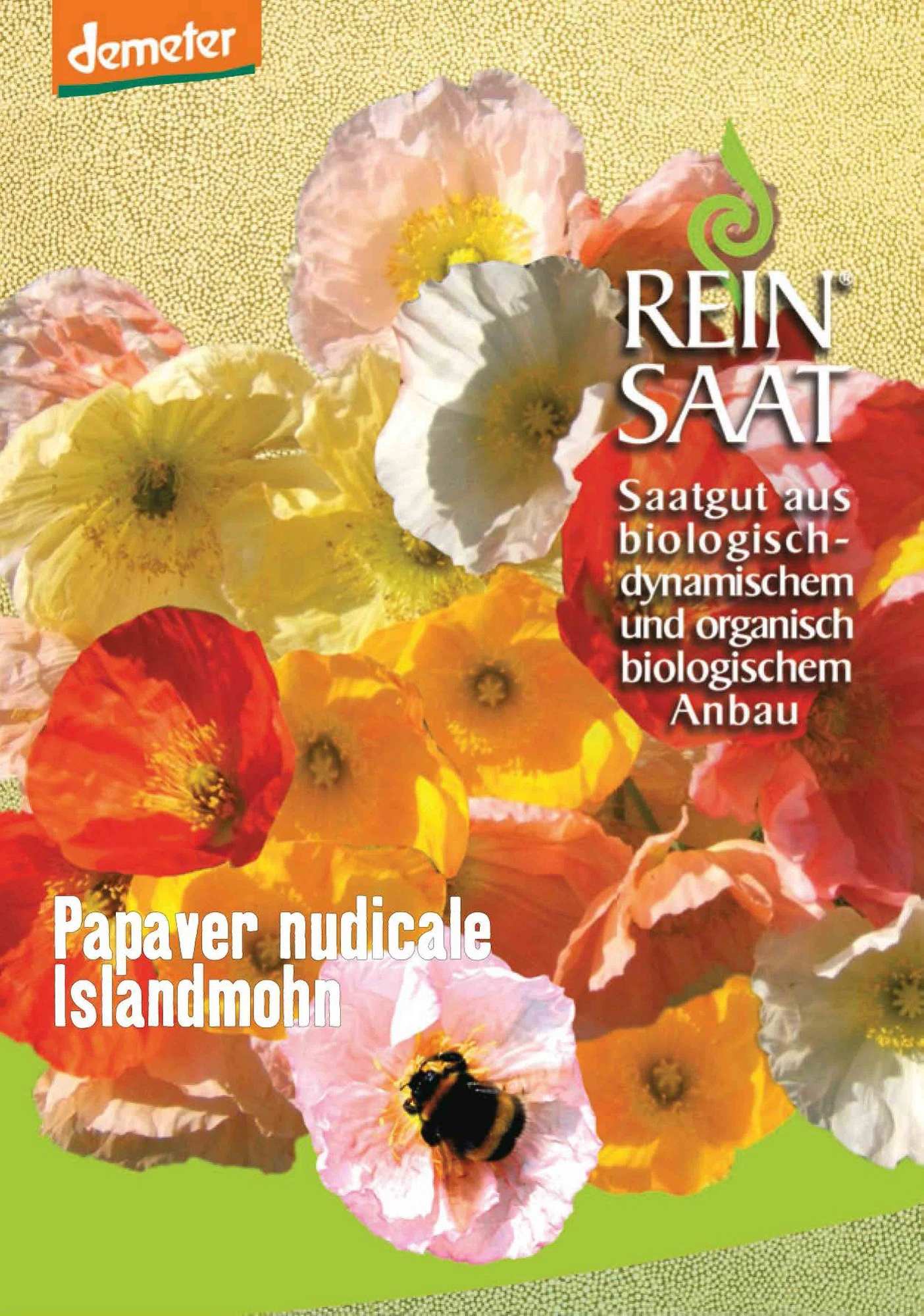 Islandmohn | BIO Mohnsamen Von Reinsaat 1 Islandmohn | BIO Mohnsamen Von Reinsaat