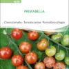 Cherrytomate Primabella | BIO Kirschtomatensamen Von Sativa Rheinau