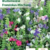Franziskus Mischung 5 M² | Blumenmischung Von Küpper