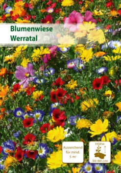 Blumenwiese Werratal 5 M² | Blumenmischung Von Küpper