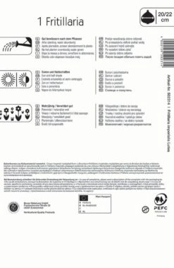 Kaiserkrone Lutea (1 Stück) | Kaiserkronenzwiebeln Von Kiepenkerl