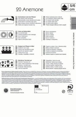 Kronen-Anemone De Caen Mischung (20 Stück) | Anemonenknollen Von Kiepenkerl