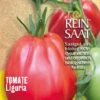 Tomate Liguria | BIO Fleischtomatensamen Von Reinsaat