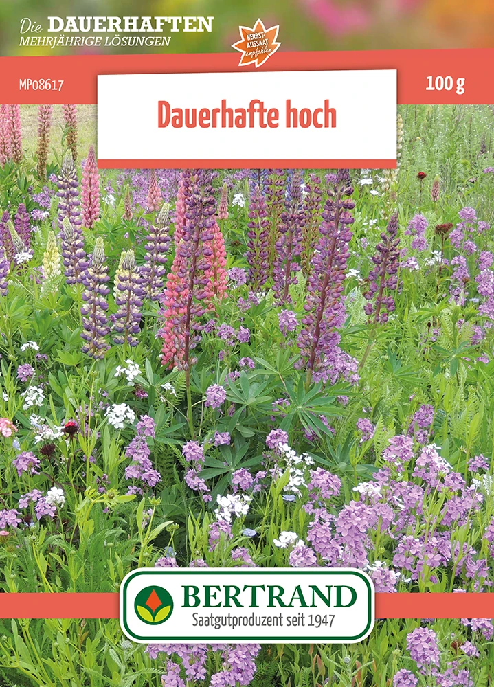 Blumenwiese Mehrjährige Hohe Stauden (100 G) | Blumensamen Von Bertrand 1 Blumenwiese Mehrjährige Hohe Stauden (100 G) | Blumensamen Von Bertrand