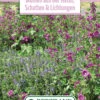 Blumenwiese Staudenmischung Für Schatten &amp; Lichtungen (100 G) | Blumensamen Von Bertrand