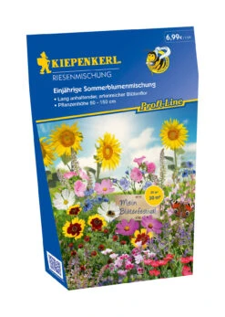 Einjährige Sommerblumenmischung (30 G) | Blumenwiese Von Kiepenkerl
