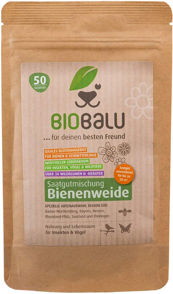 Bienenweide Region Süd (mehrjährig, 50 G) | Bienenwiese Von Biobalu 4 Bienenweide Region Süd (mehrjährig, 50 G) | Bienenwiese Von Biobalu – Bild 4