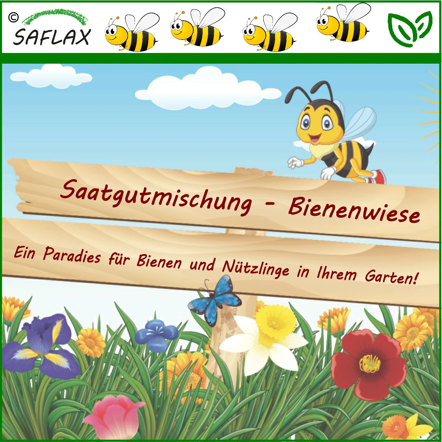 Bienenwiese | Bienenwiese Von Saflax 1 Bienenwiese | Bienenwiese Von Saflax
