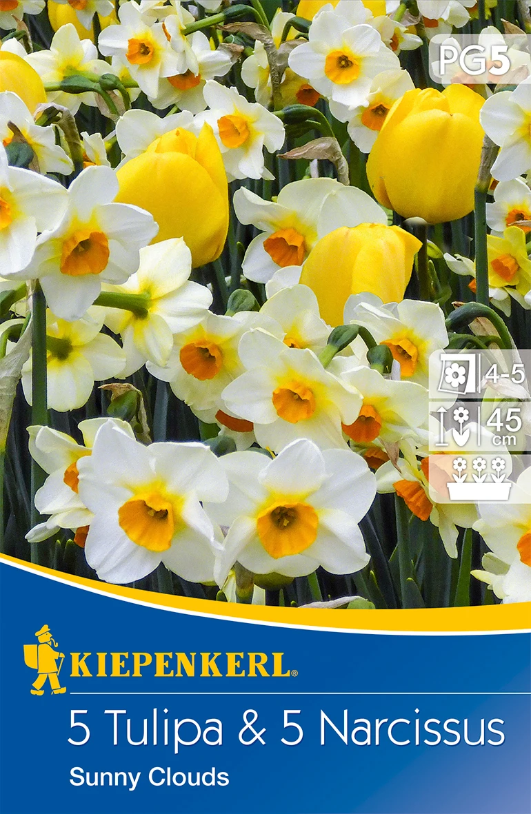 Tulpen-Narzissen-Mischung Sunny Clouds (10 Stück) | Tulpenzwiebeln Von Kiepenkerl 1 Tulpen-Narzissen-Mischung Sunny Clouds (10 Stück) | Tulpenzwiebeln Von Kiepenkerl