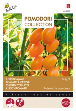 Kirschtomate Dolly F1 | Kirschtomatensamen Von Buzzy Seeds