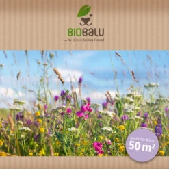 Bienenweide Halbschatten- Und Schattenbereich (50 G) | Bienenwiese Von Biobalu -Garten Traum Haus 546069 Bienenweide Halbschatten und Schattenbereich 50 g 2