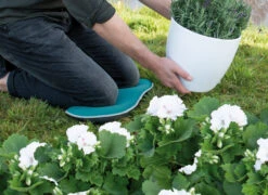 Kniekissen Blau | Gartengeräte Von Sogo 9 Kniekissen Blau | Gartengeräte Von Sogo -Garten Traum Haus 548561 Kniekissen blau 887510 sg 4