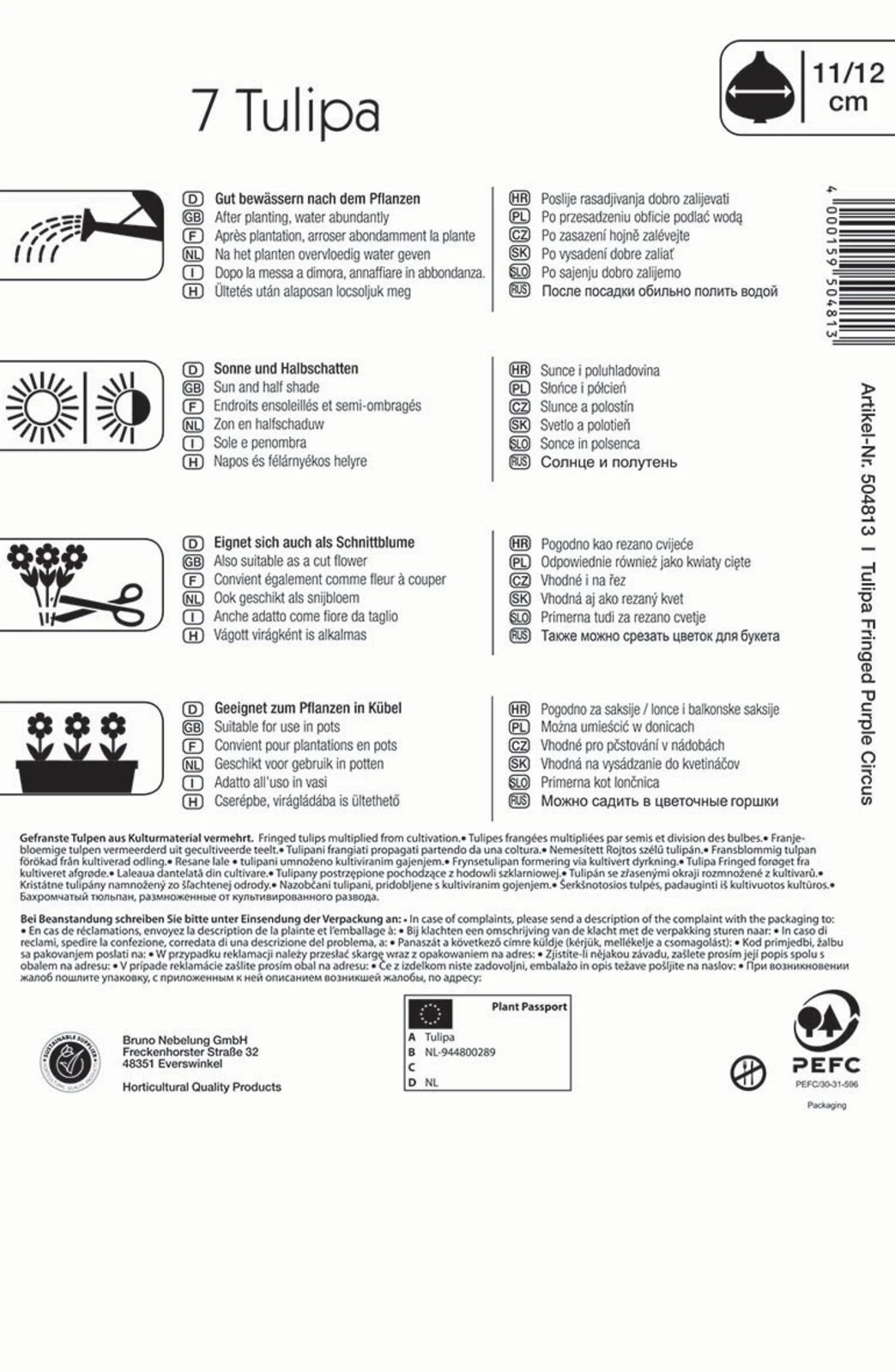 Gefranste Tulpe Purple Circus (7 Stück) | Tulpenzwiebeln Von Kiepenkerl 1 Gefranste Tulpe Purple Circus (7 Stück) | Tulpenzwiebeln Von Kiepenkerl