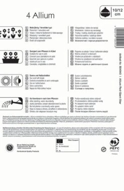 Garten Traum Haus -Garten Traum Haus 549348 Zierlauch Red Giant Star 4 Stueck 504943 1