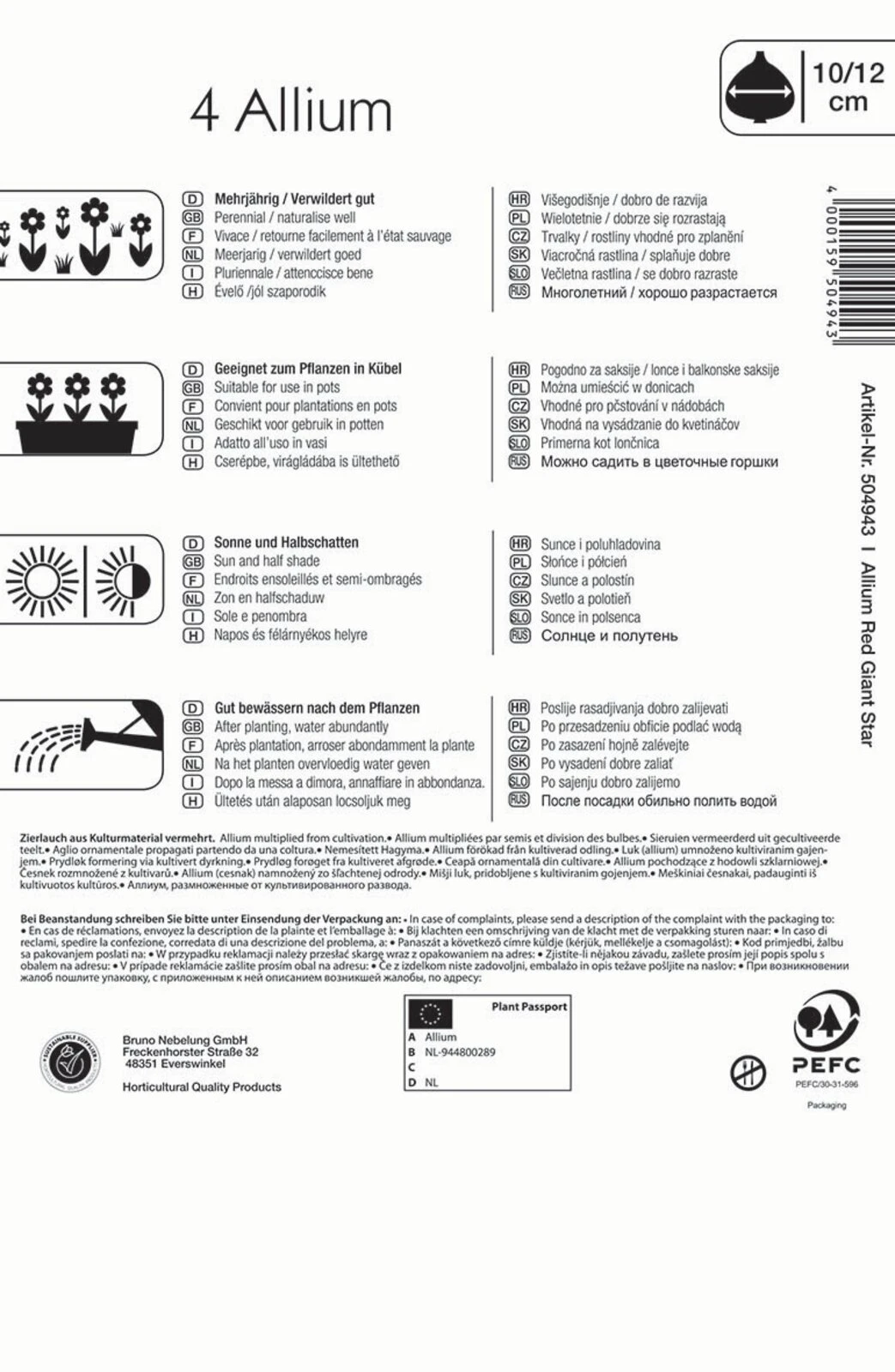 Zierlauch Red Giant Star (4 Stück) | Alliumzwiebeln Von Kiepenkerl 2 Zierlauch Red Giant Star (4 Stück) | Alliumzwiebeln Von Kiepenkerl – Bild 2