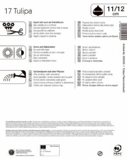 Mega-Pack Flammenduett Triumphtulpe (17 Stück) | Tulpenzwiebeln Von Kiepenkerl