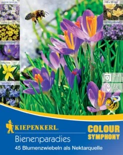 Colour Symphony Bienenparadies (45 Stück) | Blumenzwiebelmischungen Von Kiepenkerl