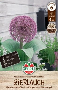 Garten Traum Haus -Garten Traum Haus 549438 Zierlauch Red Giant Star 4 Stueck 460087 0