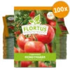 Tomate Moneymaker (100 Stück) | Tomatensamen Von FLORTUS