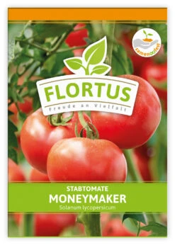 Tomate Moneymaker (100 Stück) | Tomatensamen Von FLORTUS -Garten Traum Haus 549868 Tomate Moneymaker 100 Stueck 2000 0485 100x 1