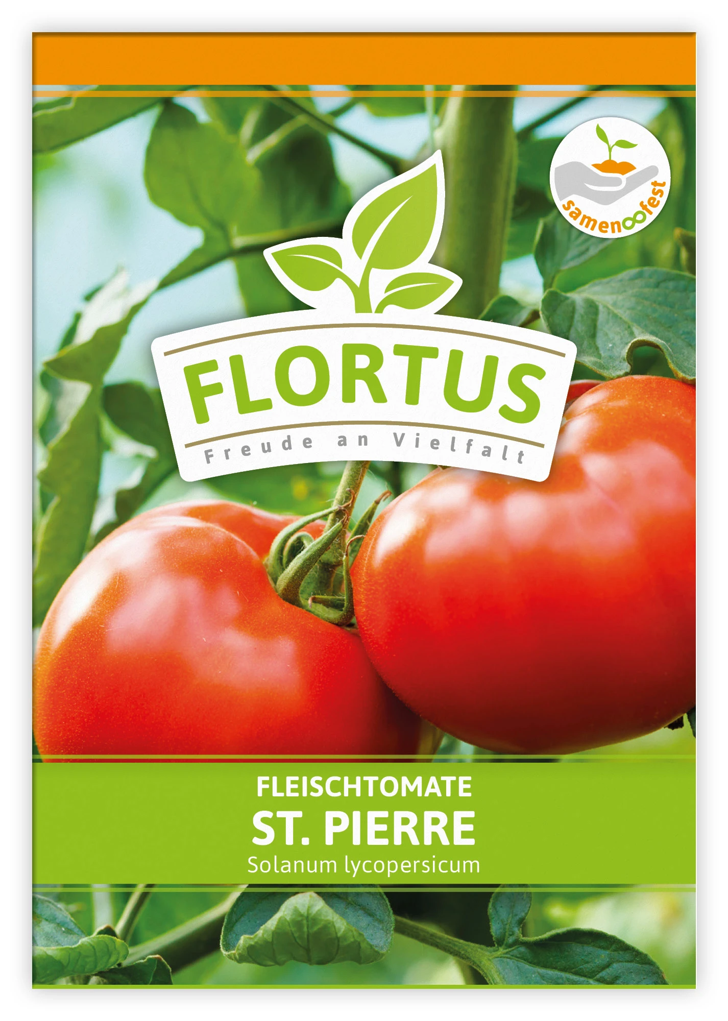 Fleischtomate St. Pierre (100 Stück) | Fleischtomatensamen Von FLORTUS 3 Fleischtomate St. Pierre (100 Stück) | Fleischtomatensamen Von FLORTUS – Bild 3